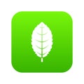 Plum leaf icon digital green