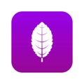 Plum leaf icon digital purple