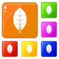 Plum leaf icons set vector color
