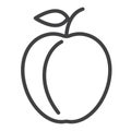 Plum line icon, outline sign