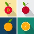 Plum and orange. Colorful flat design. Fruits with long shadow