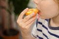 Plum perfection: A child indulges in the perfection of a ripe yellow plum, recognizing the nutritional benefits of this Royalty Free Stock Photo