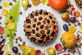 Plum pie on a light autumn background Royalty Free Stock Photo