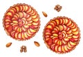 Plum pies on a white background. Watercolor illustration