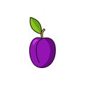 Plum prunes icon vector