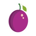 Plum purple healthy ripe summer plant. Green tasty diet vector icon. Fruit food illustration organic berry Royalty Free Stock Photo