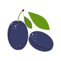 Plum. Ripe juicy Berries with Green Leaves. Plum for jam and dessert. Flat style. Vector Illustration