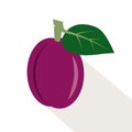 Plum. Ripe, juicy fruit