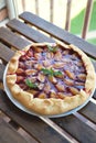 Plum tart with cinnamon. Portion of cake on a plate with shallow depth of field.