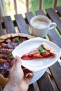 Plum tart with cinnamon. Portion of cake on a plate with shallow depth of field.
