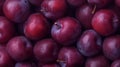 Plum Texture In Minimalist Style With Rgb 051-76-36