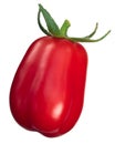 Plum tomato Scatolone, paths Royalty Free Stock Photo