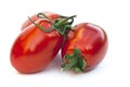 Plum tomatoes Royalty Free Stock Photo