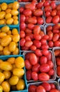 Plum tomatoes Royalty Free Stock Photo