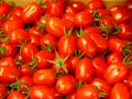 Plum Tomatos Royalty Free Stock Photo