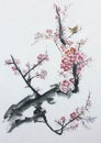 Plum tree blossom