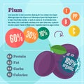 Plum vitamins infographics in a flat style