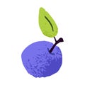 Plum, whole berry with leaf, stem. Fresh ripe healthy fruit. Natural organic food, sweet vitamin eating. Flat vector