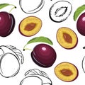 Plum whole and half with kernel, isolated on white background. Food seamless pattern.