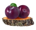 Plum on a wooden ÃÂross section of tree trunk isolated on white Royalty Free Stock Photo