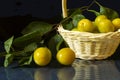 Plum yellow in basket on black background on table