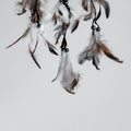 Plumage and beads of a Native American Dreamcatcher. Close up.