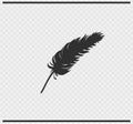 Plumage icon black color on transparent