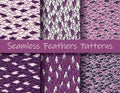 Plumage patterns set. Violet, white, dark. Colorful illustration of seamless feathers patterns in modern hand drawn