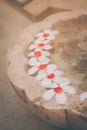 Plumaria or Frangipani flowers floating on the water Royalty Free Stock Photo