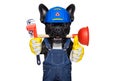 Plumber dog with plunger