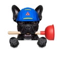 Plumber dog with plunger