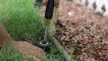 Plumber Man fixing Sprinkler Head in backyard