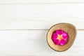 Plumeria aromatherapy candle in brown coconut shell