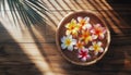 Plumeria exotic tropical flowers in wooden bowl top view. Frangipani flowers for spa, relaxation and traditional aloha festival Royalty Free Stock Photo