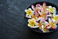 Plumeria flower floating in ceramic bowl on stone table in tropical luxury asian spa Royalty Free Stock Photo