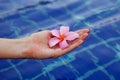 Plumeria flower in hands Royalty Free Stock Photo