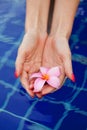 Plumeria flower in hands Royalty Free Stock Photo