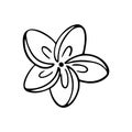 Plumeria flower outline. Frangipani line art vector illustration isolated on white background. Plumeria silhouette icon, blossom Royalty Free Stock Photo