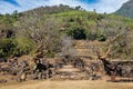 Plumeria flower trees at the ruins of the Vat Phou Khmer temple, Laos