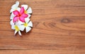 Plumeria flower on wooden