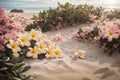 Plumeria flowers on the beach in the morning