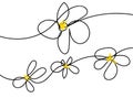 Plumeria flowers in continuous line art drawing style. Group of fragrant tropical plumeria (frangipani, jasmine) flowers