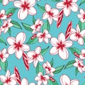 Plumeria flowers pattern Royalty Free Stock Photo