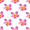 Plumeria flowers pattern. Watercolor seamless floral pattern with bright pink and yellow tropical flowers Royalty Free Stock Photo