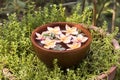 Plumeria flowers , spa tub on natural background. Royalty Free Stock Photo