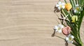 Plumeria flowers with starfish and seashells on tropical palm leaves on sand. Summer background Royalty Free Stock Photo