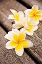 Plumeria flowers on wooden floor Royalty Free Stock Photo