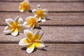 Plumeria flowers on wooden floor Royalty Free Stock Photo