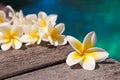 Plumeria flowers on wooden floor, blue water Royalty Free Stock Photo