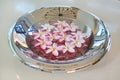 Plumeria or Frangipani flower floating in water in aluminium tray. Spa concept of blooming flowers